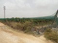 Baugrundstück in der Nähe von Alenda Golf in Daft on Spain 