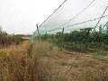 Baugrundstück in der Nähe von Alenda Golf in Daft on Spain 