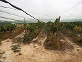 Double terrain à bâtir près du golf d'Alenda in Daft on Spain 
