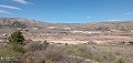 10.012m² großes Grundstück in erhöhter Lage in Daft on Spain 