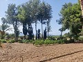 Country House with a pool and outbuildings in Daft on Spain 