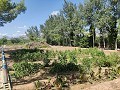 Country House with a pool and outbuildings in Daft on Spain 