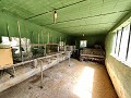Country House with a pool and outbuildings in Daft on Spain 