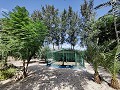 Country House with a pool and outbuildings in Daft on Spain 