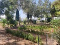 Country House with a pool and outbuildings in Daft on Spain 