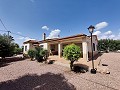 Zwei Immobilien auf einem Grundstück in Crevillente in Daft on Spain 