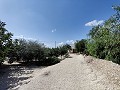Zwei Immobilien auf einem Grundstück in Crevillente in Daft on Spain 