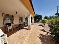 Zwei Immobilien auf einem Grundstück in Crevillente in Daft on Spain 