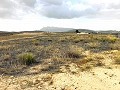 Grundstück zum Verkauf in Torre del Rico in Daft on Spain 