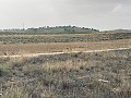 Grundstück zum Verkauf in Torre del Rico in Daft on Spain 