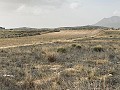 Grundstück zum Verkauf in Torre del Rico in Daft on Spain 