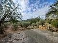 Lovely 2 Bedroom Country house in La Romana in Daft on Spain 