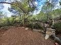 Lovely 2 Bedroom Country house in La Romana in Daft on Spain 