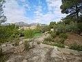 Lovely 2 Bedroom Country house in La Romana in Daft on Spain 