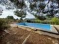 Lovely 2 Bedroom Country house in La Romana in Daft on Spain 