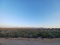 New 3 Bedroom Villa for completion in Paradon near (Pinoso) in Daft on Spain 