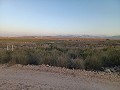 New 3 Bedroom Villa for completion in Paradon near (Pinoso) in Daft on Spain 