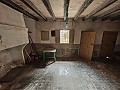 Large historic house and bodega en Pinoso in Daft on Spain 
