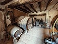 Large historic house and bodega en Pinoso in Daft on Spain 