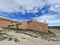 Large historic house and bodega en Pinoso in Daft on Spain 