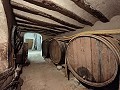 Large historic house and bodega en Pinoso in Daft on Spain 