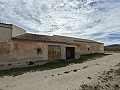 Large historic house and bodega en Pinoso in Daft on Spain 