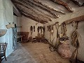 Large historic house and bodega en Pinoso in Daft on Spain 