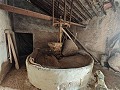 Large historic house and bodega en Pinoso in Daft on Spain 