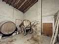 Large historic house and bodega en Pinoso in Daft on Spain 