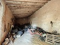 Large historic house and bodega en Pinoso in Daft on Spain 