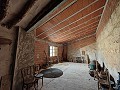 Large historic house and bodega en Pinoso in Daft on Spain 