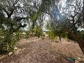 Riesiges Landhaus mit 6 Schlafzimmern in Ubeda in Daft on Spain 