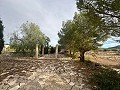 Riesiges Landhaus mit 6 Schlafzimmern in Ubeda in Daft on Spain 