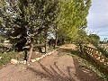 Riesiges Landhaus mit 6 Schlafzimmern in Ubeda in Daft on Spain 