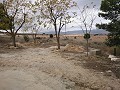 3 Bed Country House with Garage in Daft on Spain 