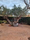  Villa in Monovar with Huge Underbuild in Daft on Spain 
