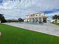Nieuwbouw villa's met wow! factor in Daft on Spain 