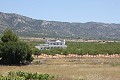 Nieuwbouw villa's met wow!factor in Daft on Spain 
