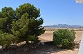 Impressive Town house in small village with Large Bodega and Pool in Daft on Spain 