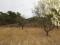 Villa mit 4 Schlafzimmern und 2 Bädern und Pool in Daft on Spain 