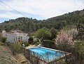 Villa mit 4 Schlafzimmern und 2 Bädern und Pool in Daft on Spain 