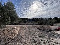 Incroyable villa avec piscine à Pinoso in Daft on Spain 