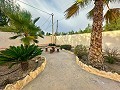 Lovely villa in-between Sax and Elda with Pool and Guesthouse in Daft on Spain 