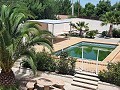 Lovely villa in-between Sax and Elda with Pool and Guesthouse in Daft on Spain 