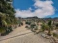 Beautiful 4 bedroom Villa/Cavehouse in Fortuna in Daft on Spain 