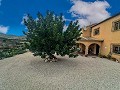 Beautiful 4 bedroom Villa/Cavehouse in Fortuna in Daft on Spain 