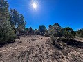 Impresionante Casa Rural de 9 habitaciones en Biar in Daft on Spain 