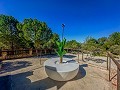 Impresionante Casa Rural de 9 habitaciones en Biar in Daft on Spain 