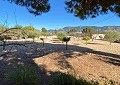 Villa met 3 slaapkamers en 1 badkamer op geweldige locatie met zwembad en gastenverblijf met 2 verdiepingen in Sax in Daft on Spain 