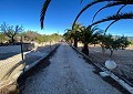 Villa met 3 slaapkamers en 1 badkamer op geweldige locatie met zwembad en gastenverblijf met 2 verdiepingen in Sax in Daft on Spain 